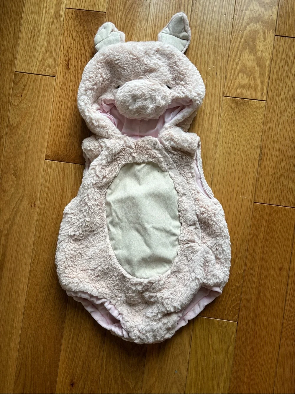 Pottery barn kids pig hooded costume